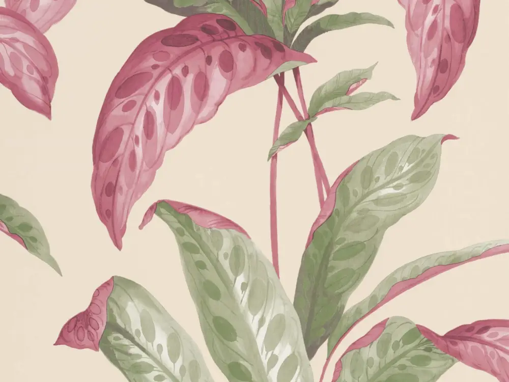 Paint & Paper Library Tropicane - Rhubarb Favoriet