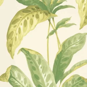 Paint & Paper Library Tropicane - Chelsea Green II Laatste Versie