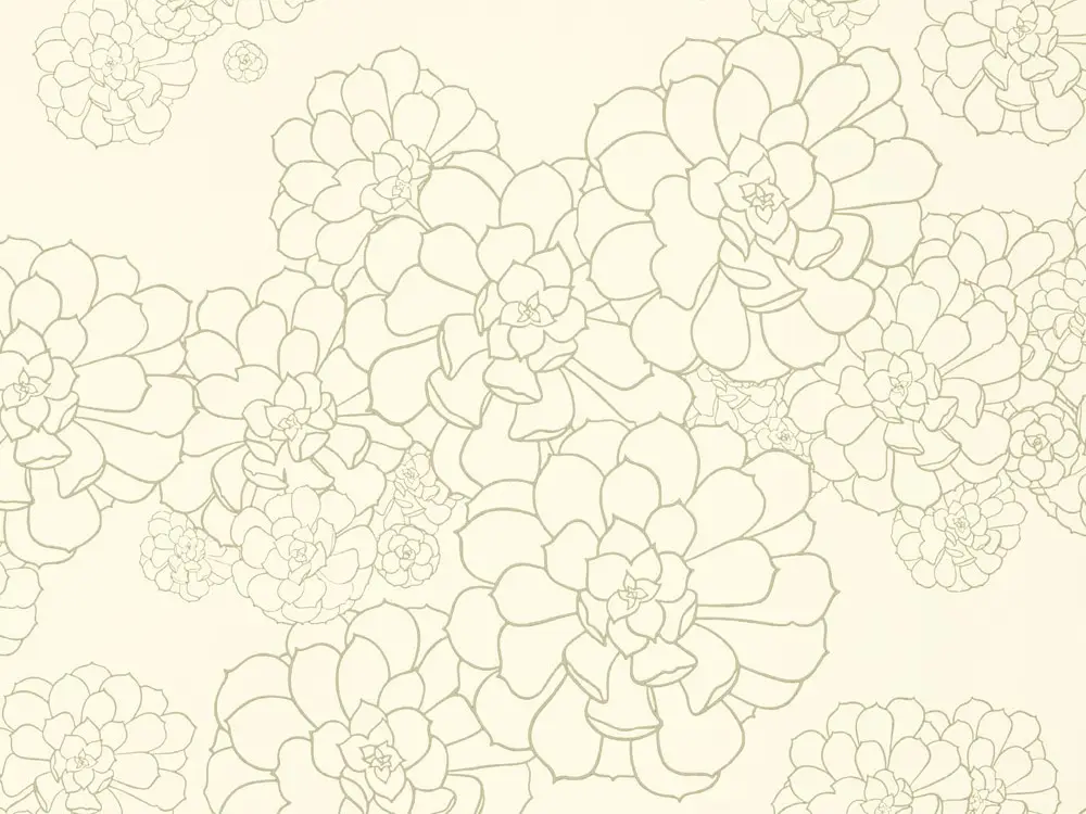 Paint & Paper Library Aeonium - Wattle Lage Prijs