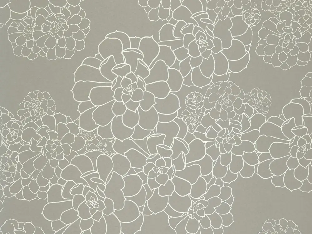 Weekendaanbieding Paint & Paper Library Aeonium - Steel
