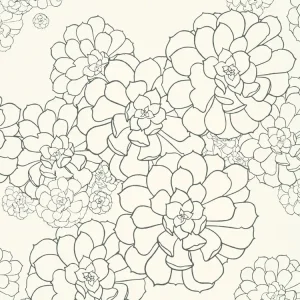 Paint & Paper Library Aeonium - Clean White Actieprijs