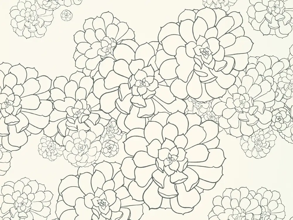 Paint & Paper Library Aeonium - Clean White Actieprijs