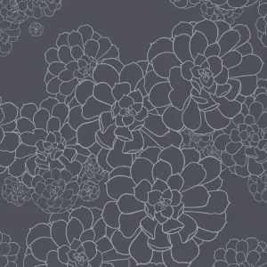 Paint & Paper Library Aeonium - Blue Blood Goedkoop