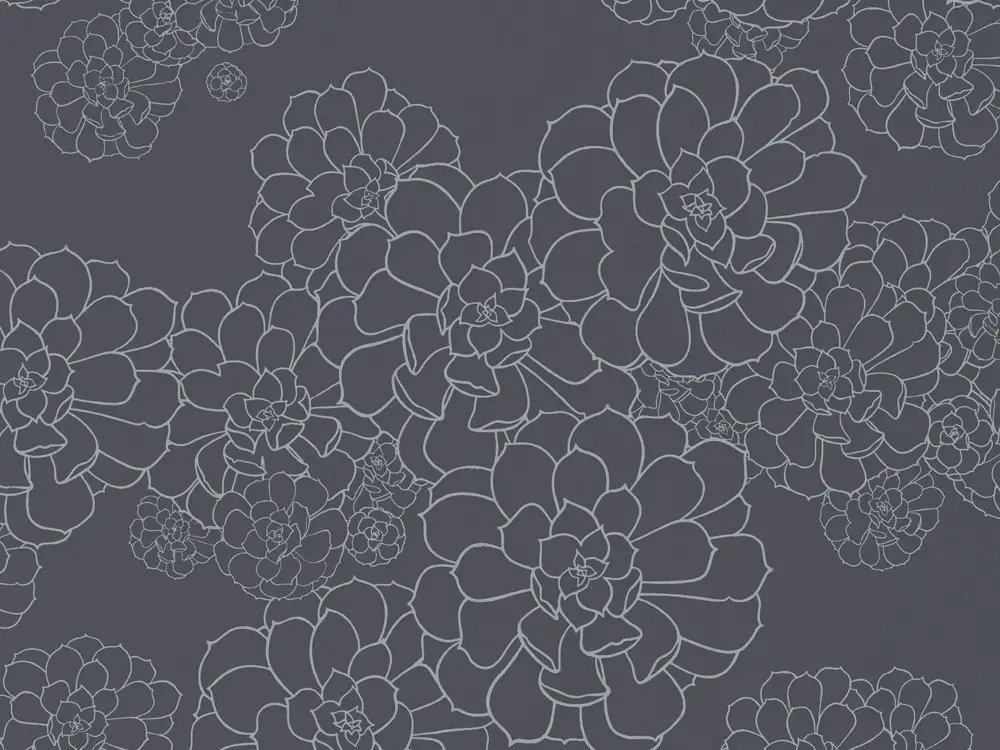 Paint & Paper Library Aeonium - Blue Blood Goedkoop