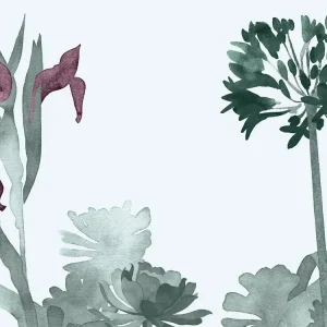 Paint & Paper Library Aloe Walk - Ice Seizoensaanbieding