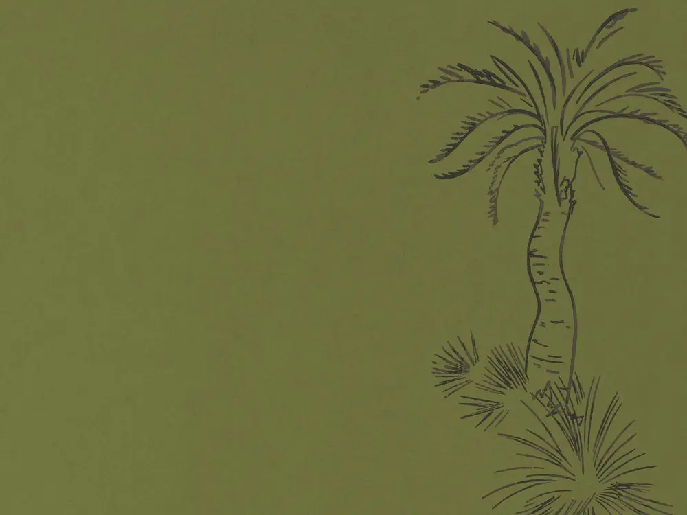 Goedkoop Paint & Paper Library Lighthouse Palm - Chelsea Green