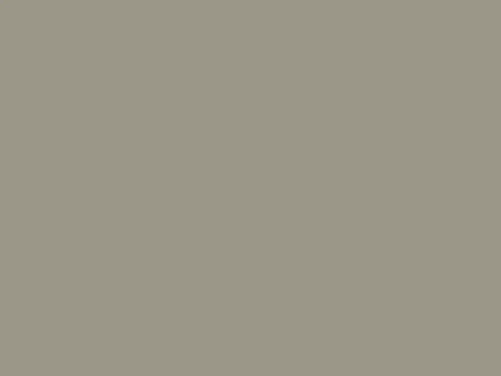Paint & Paper Library Architects' Satinwood - Moleskin 218 Alleen Vandaag