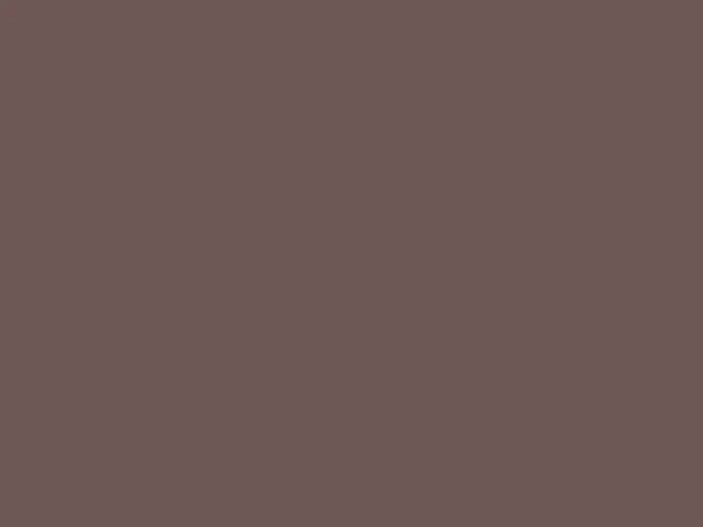 Laatste Kans Paint & Paper Library Architects' Satinwood - Plum Brandy 341