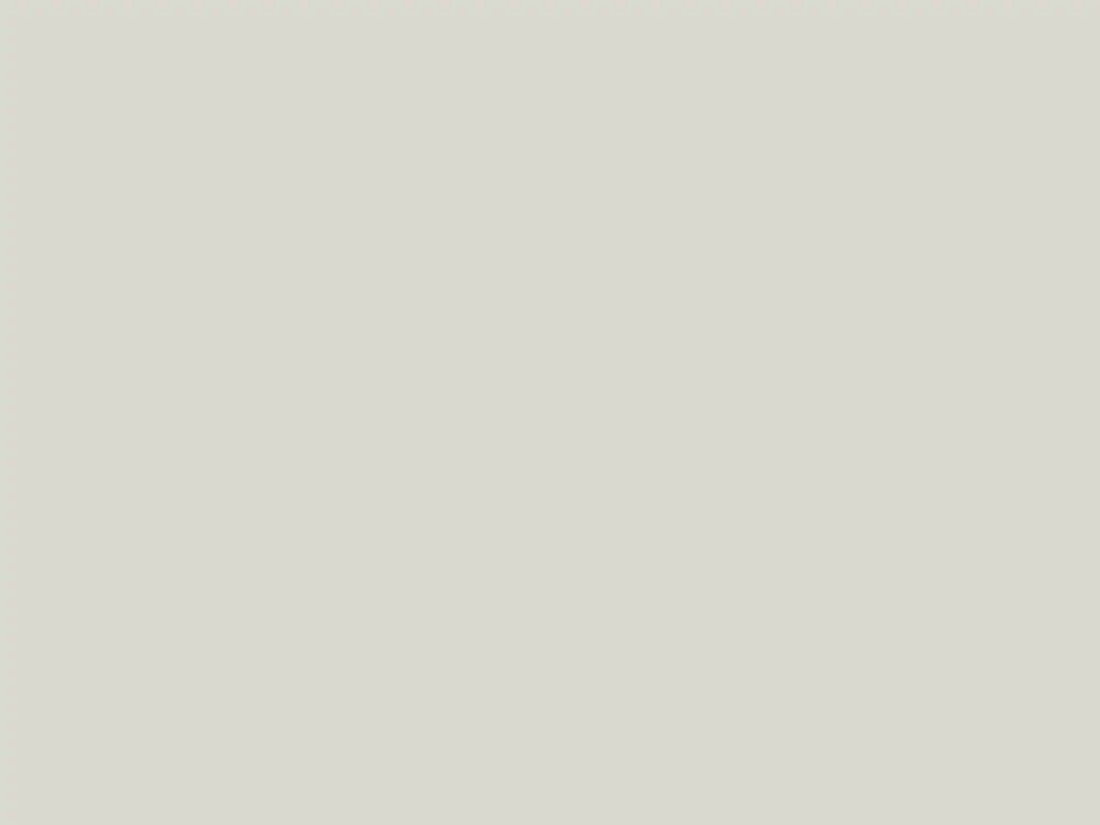Seizoensaanbieding Paint & Paper Library Architects' Matt - Salt II 332
