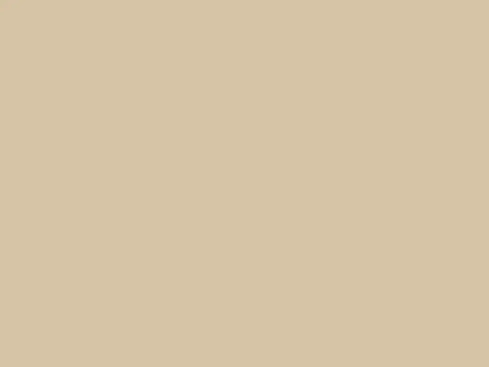 Nieuw Paint & Paper Library Architects' Satinwood - Leather IV 234