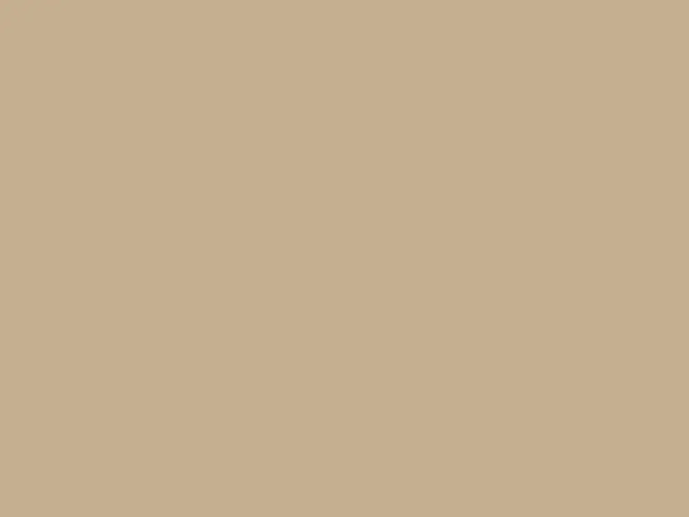 Paint & Paper Library Architects' Matt - Leather V 235 Aanbieding