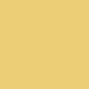 Beste Prijs Paint & Paper Library Architects' Satinwood - Brimstone 476