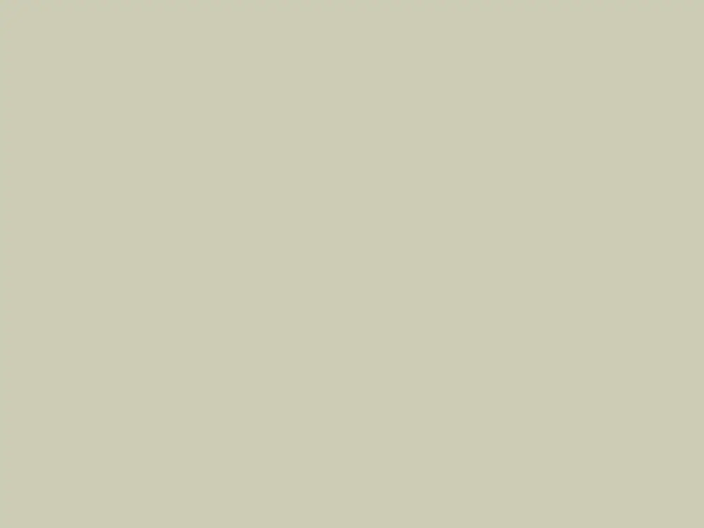 Paint & Paper Library Architects' Satinwood - Wattle IV 564 Must-Have