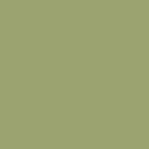 Premium Paint & Paper Library Architects' Satinwood - Chelsea Green II 549