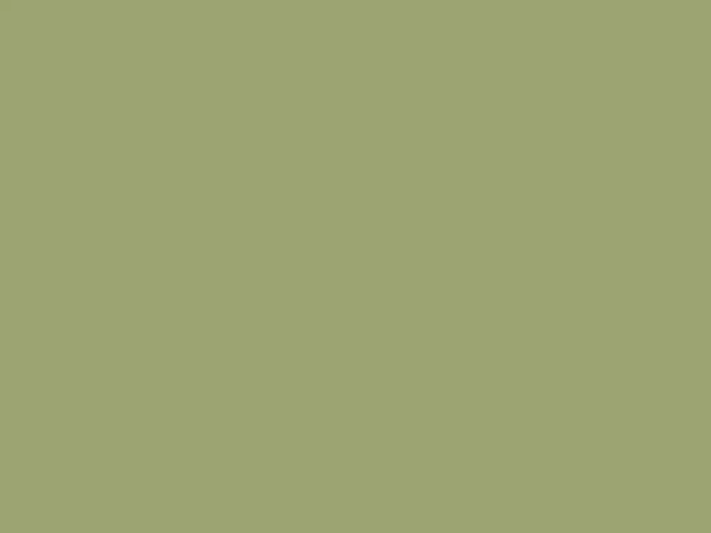 Premium Paint & Paper Library Architects' Satinwood - Chelsea Green II 549