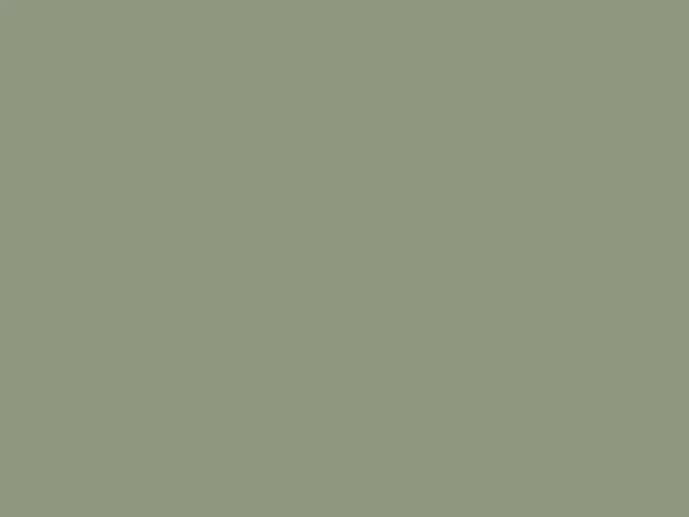 Paint & Paper Library Architects' Satinwood - Greenback 579 Weekendaanbieding