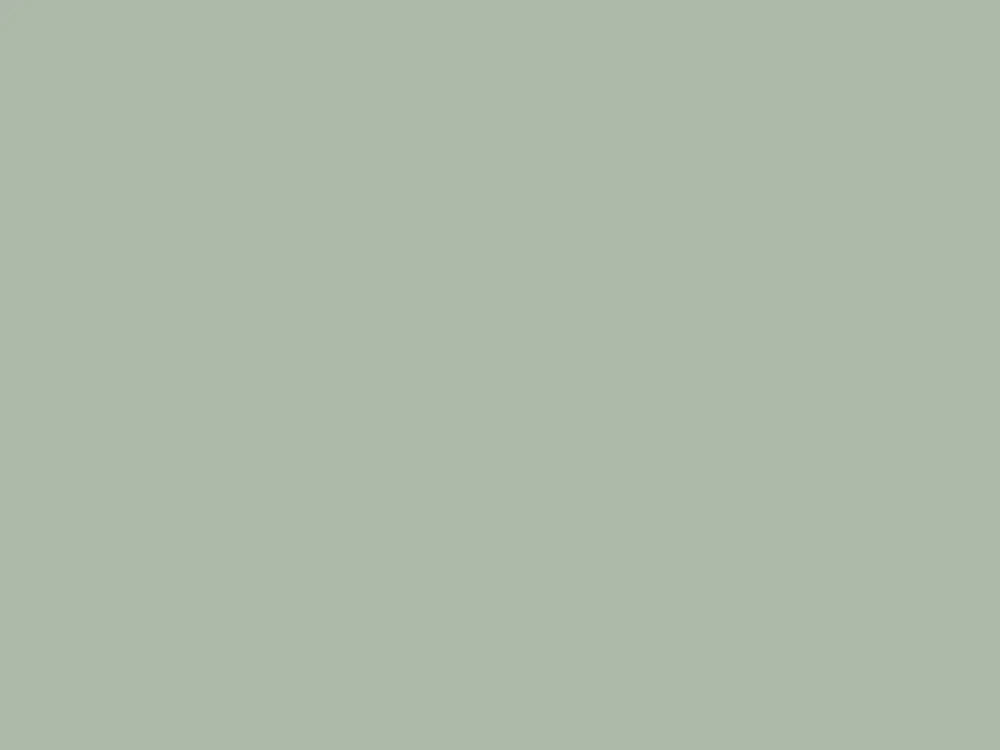 Paint & Paper Library Architects' Matt - Glass V 585 Koop Vandaag