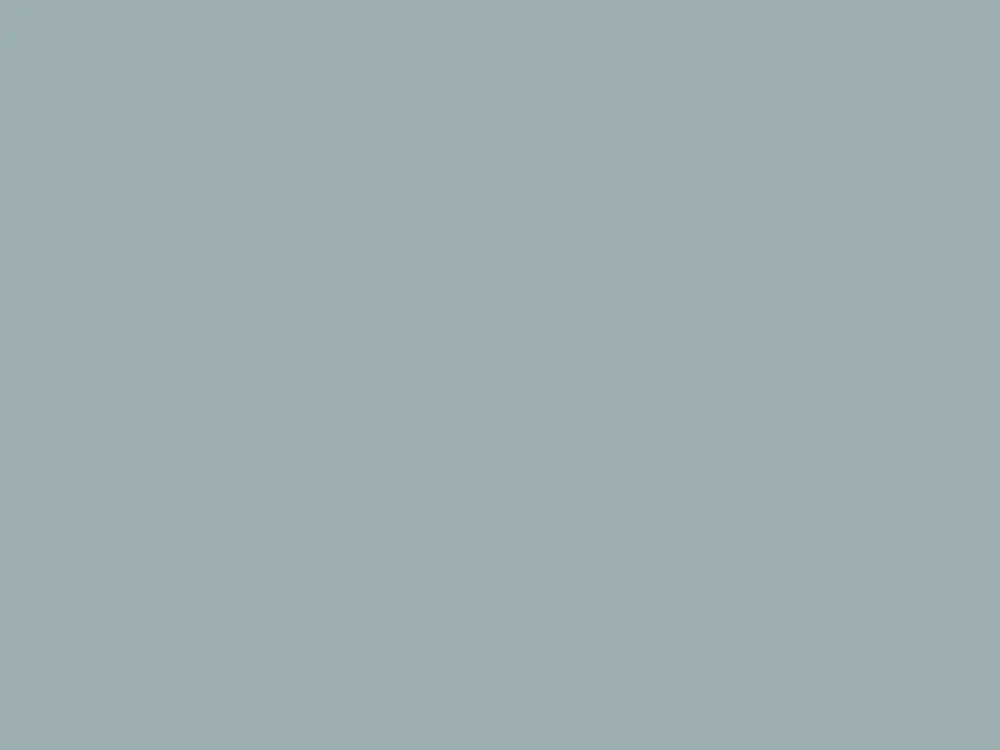 Paint & Paper Library Architects' Matt - Spruce 690 Speciale Aanbieding