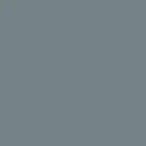 Exclusieve Aanbieding Paint & Paper Library Architects' Satinwood - BTWN Dog & Wolf 693