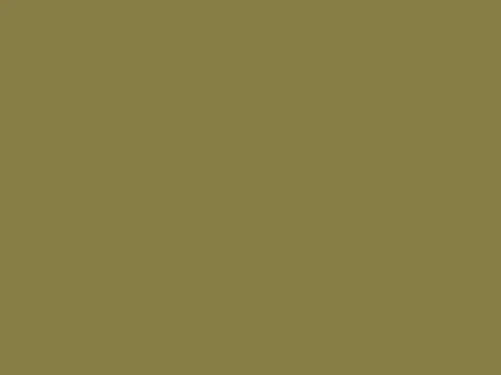 Hete Deal Paint & Paper Library Architects' Matt - Midelt Sage 711
