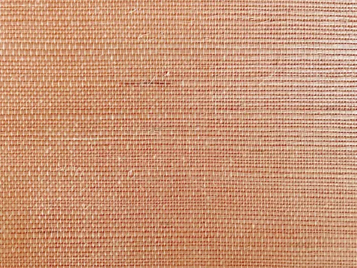 Betrouwbaar Catchii sisal behang Roze Champagne - S015