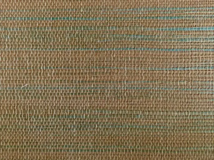 Koopje Catchii sisal behang Groen Camel Mix - S019