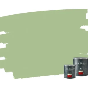 Little Greene Intelligent Gloss - Pea Green 91 Premium