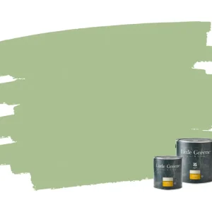 Betrouwbaar Little Greene Intelligent Floor Paint - Pea Green 91
