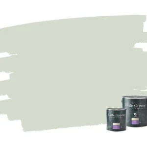 Betrouwbaar Little Greene Intelligent ASP - Pearl Colour 100