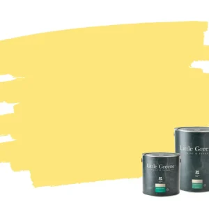 Beperkt Aanbod Little Greene Wall Primer Sealer - Carys 148