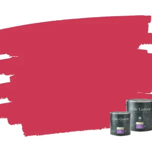 Finale Uitverkoop Little Greene Intelligent ASP - Leather 191