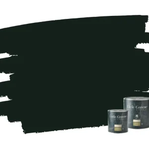 Dagaanbieding Little Greene Intelligent Exterior Eggshell - Obsidian Green 216