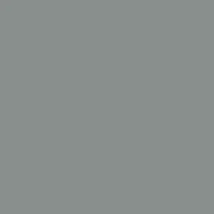 Gereduceerde Prijs Paint & Paper Library Architects' ASP - Tallanstown Grey 109