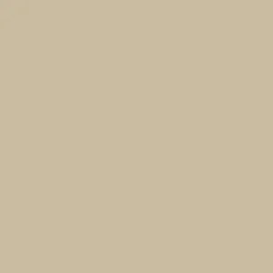 Direct Beschikbaar Paint & Paper Library Architects' ASP - Canvas V 305