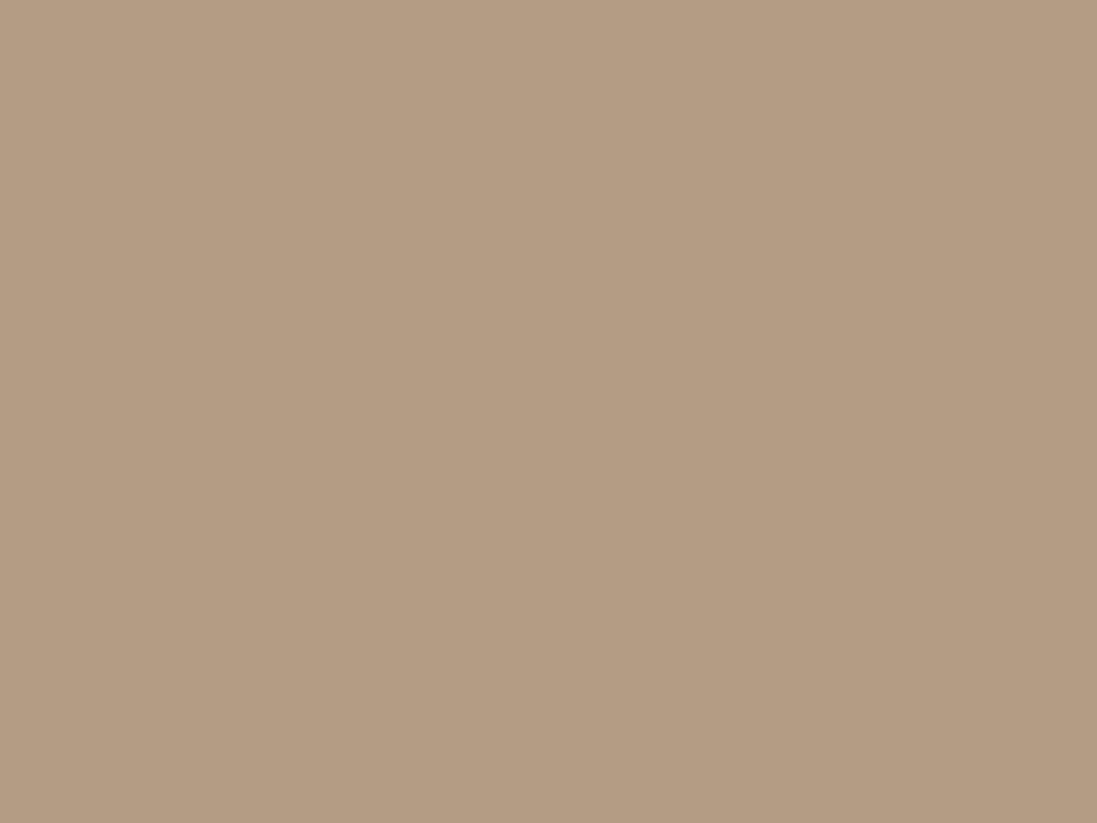Paint & Paper Library Architects' ASP - Mink 297 Snelle Levering