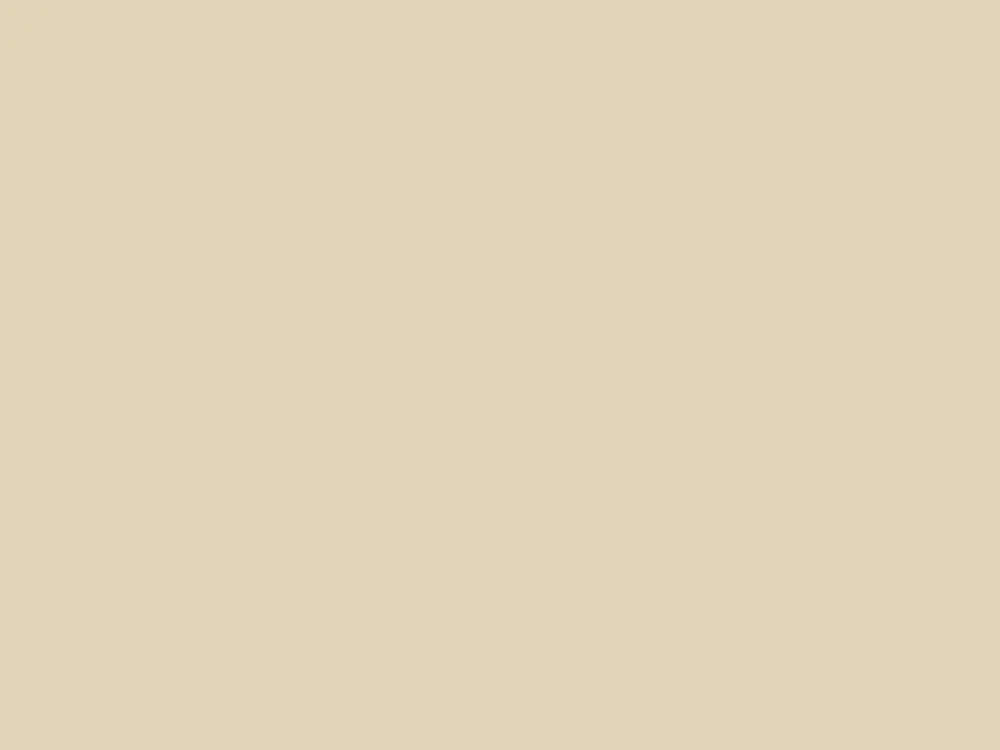 Paint & Paper Library Architects' ASP - Leather III 233 Bestseller