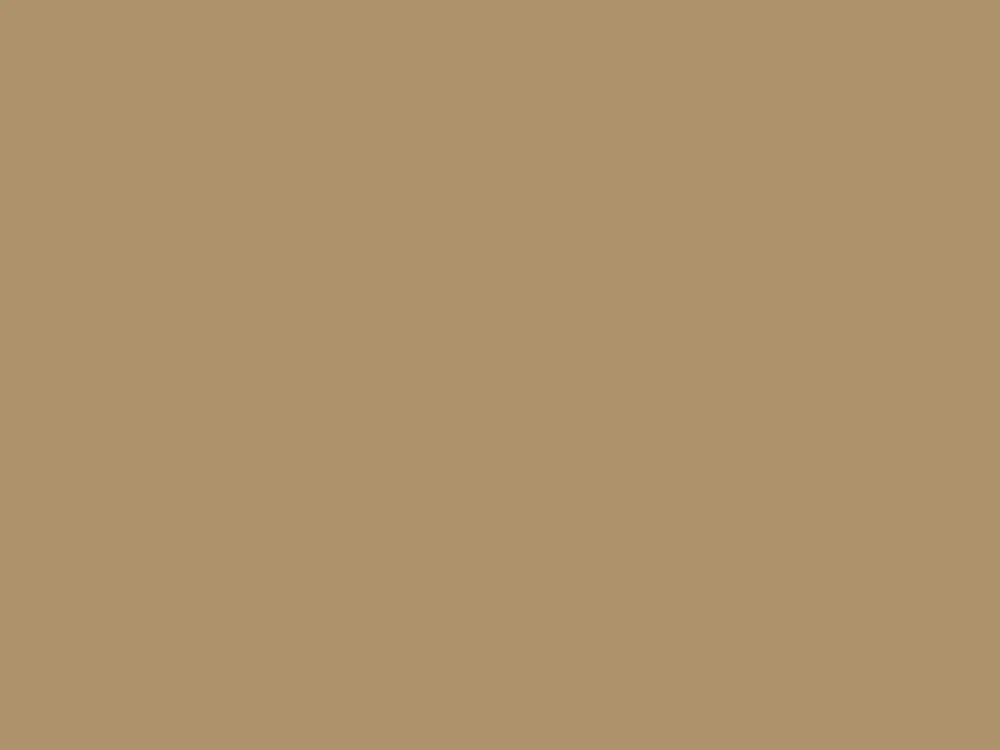 Paint & Paper Library Architects' ASP - Caddie 452 Hete Deal