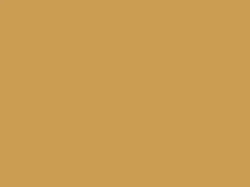 Shop Nu Paint & Paper Library Architects' ASP - Pollen II 471