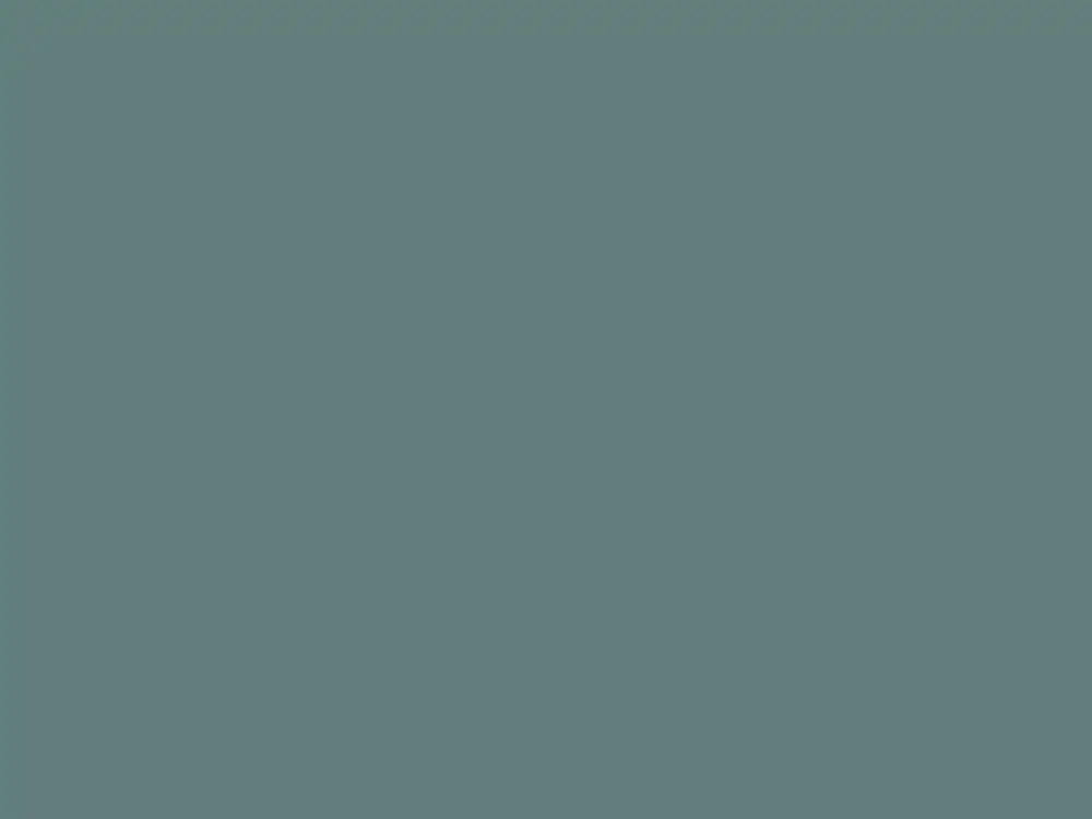 Paint & Paper Library Architects' ASP - Iguana 551 Express Levering