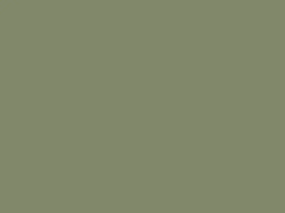Laatste Versie Paint & Paper Library Architects' ASP - Sencha 569