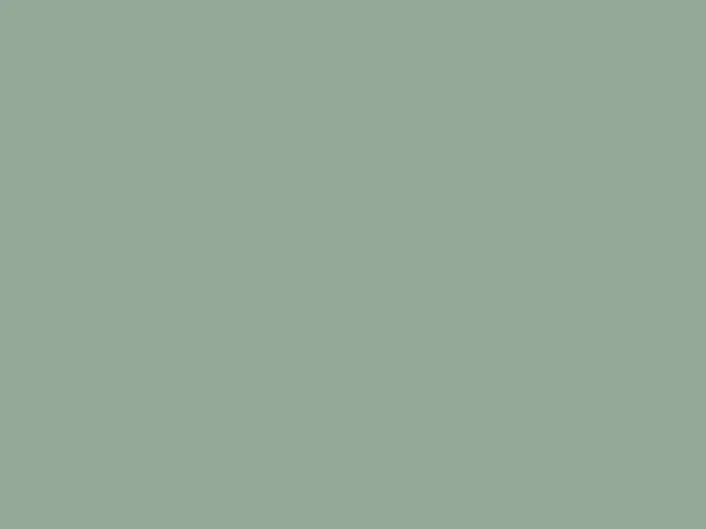 Paint & Paper Library Architects' ASP - Salvia 596 Flitsaanbieding