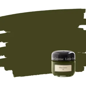 Little Greene Olive Colour 72 samplepotje Koopje