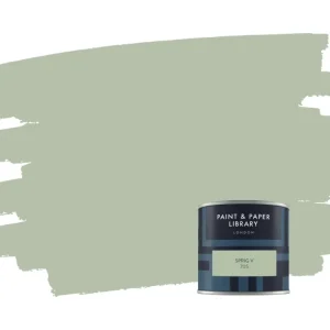 Rechtstreeks Van De Fabrikant Paint & Paper Library Sprig V 705 samplepotje