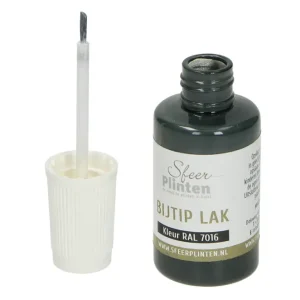 Lage Kosten Plinten bij-tip-lak RAL 7016 - 20ml