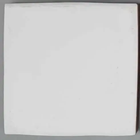 Ragno Felis 10x10cm Direct Beschikbaar