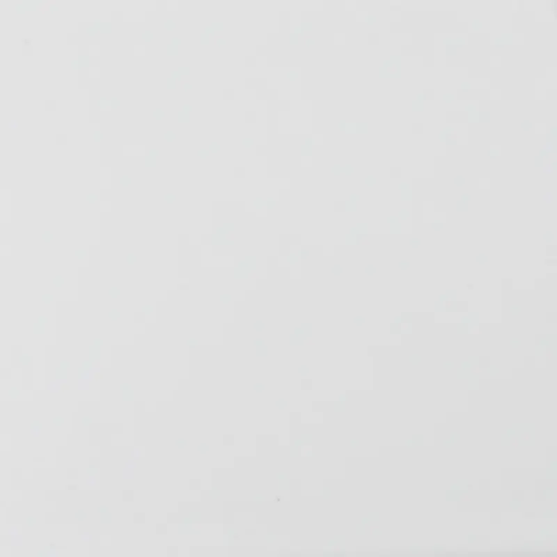 Premium Recer 100 M Neve 10x20cm