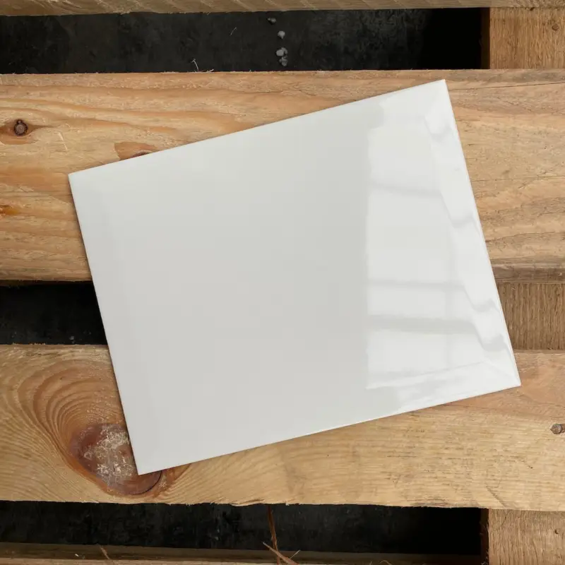 Ceratile Glans Wit Facet 20x25cm Koop Vandaag