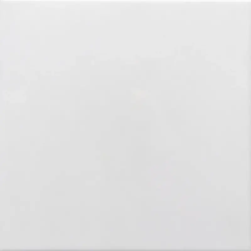 Koopje Steenbok Wand 18901 White Glossy 13x26cm