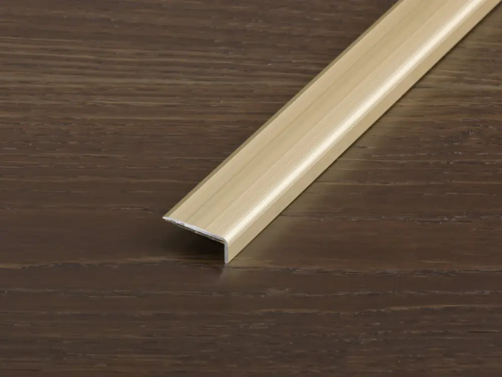 Finale Uitverkoop Traprandprofiel PROSTEP aluminium geanodiseerd champagne