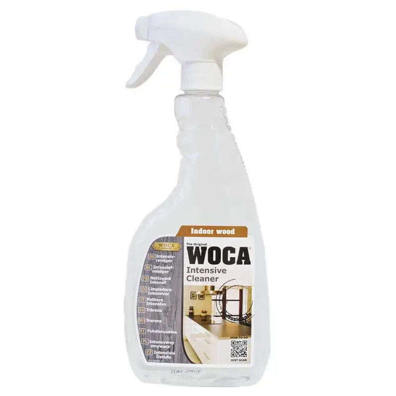 Laatste Versie Intensiefreiniger Spray (750ml)